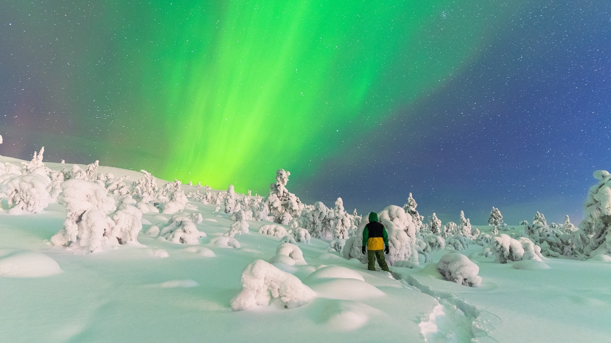 shutterstock-2445814825-2-2000