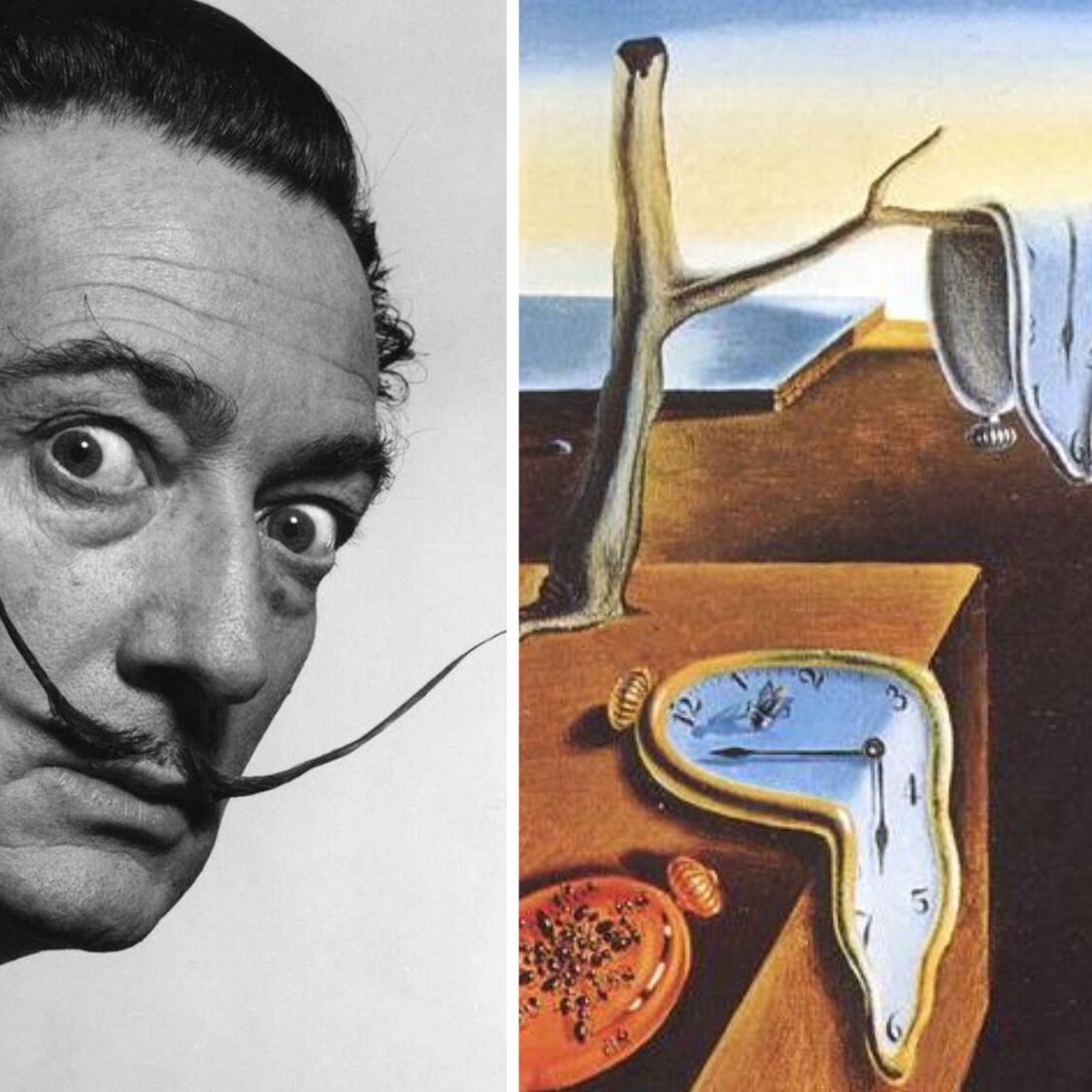 Un musée éphémère dédié à Dali va prendre place dans un somptueux hôtel de Toulouse exposition-salvador-dali-musee-ephemere-toulouse