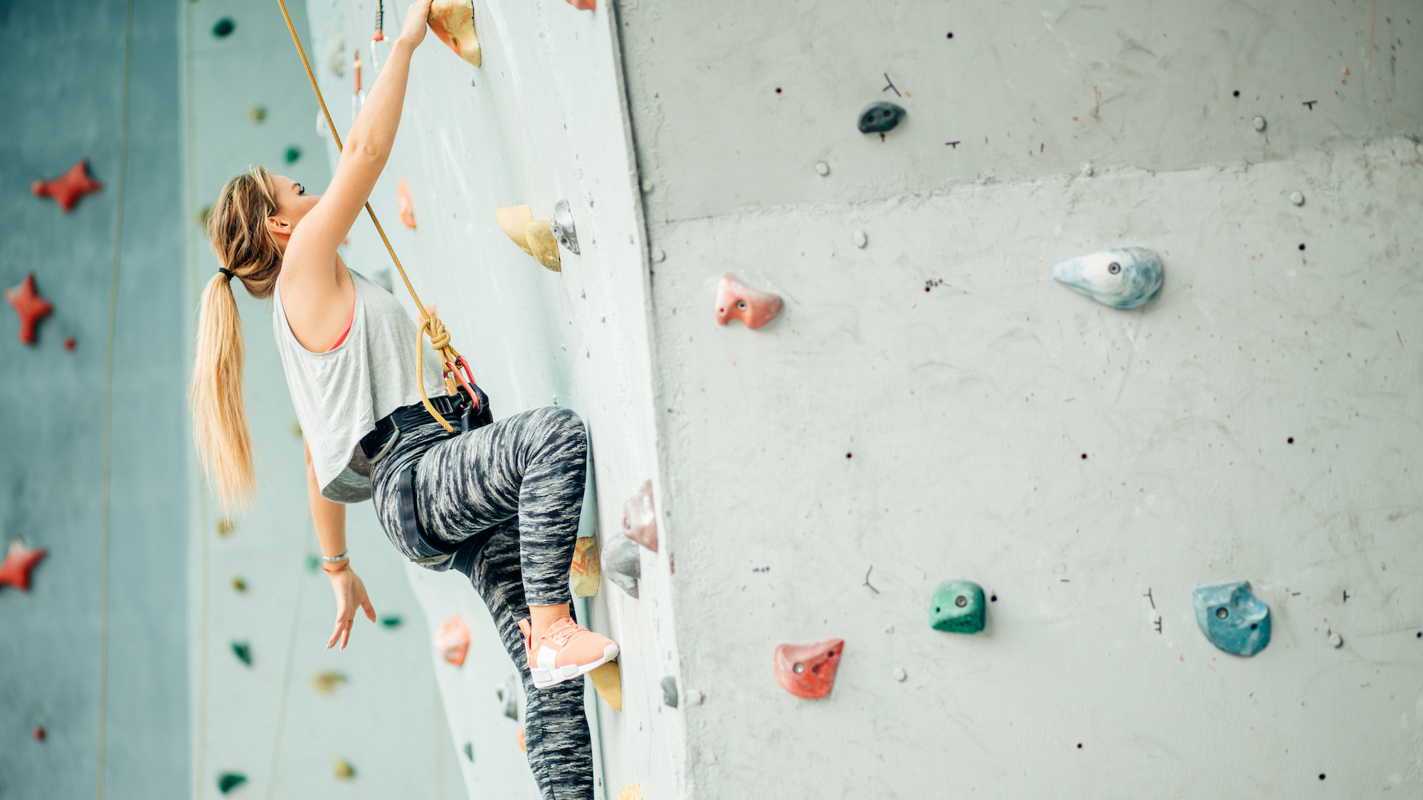 shutterstock-744524533