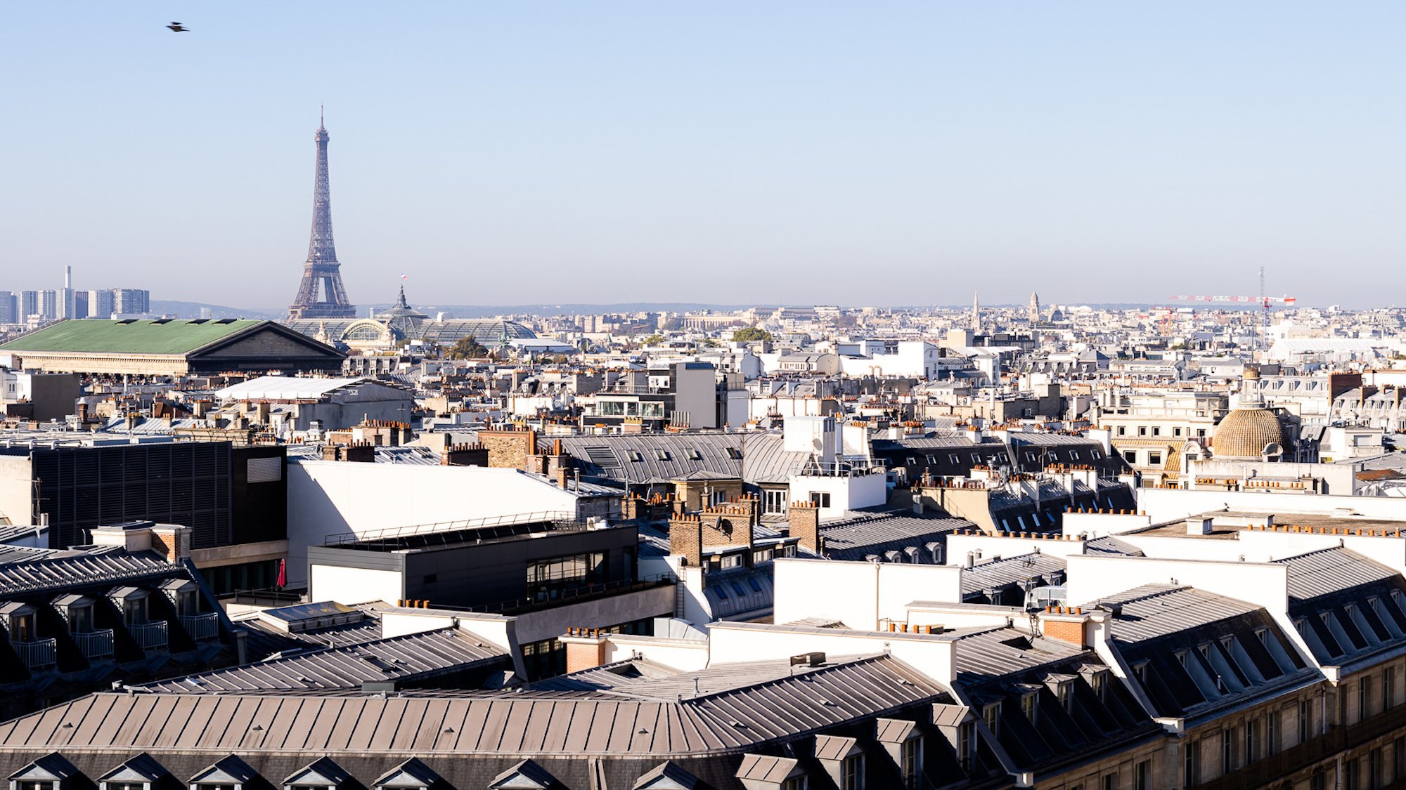 -feel-sofood-vue-d-ensemble-paris-1-2000