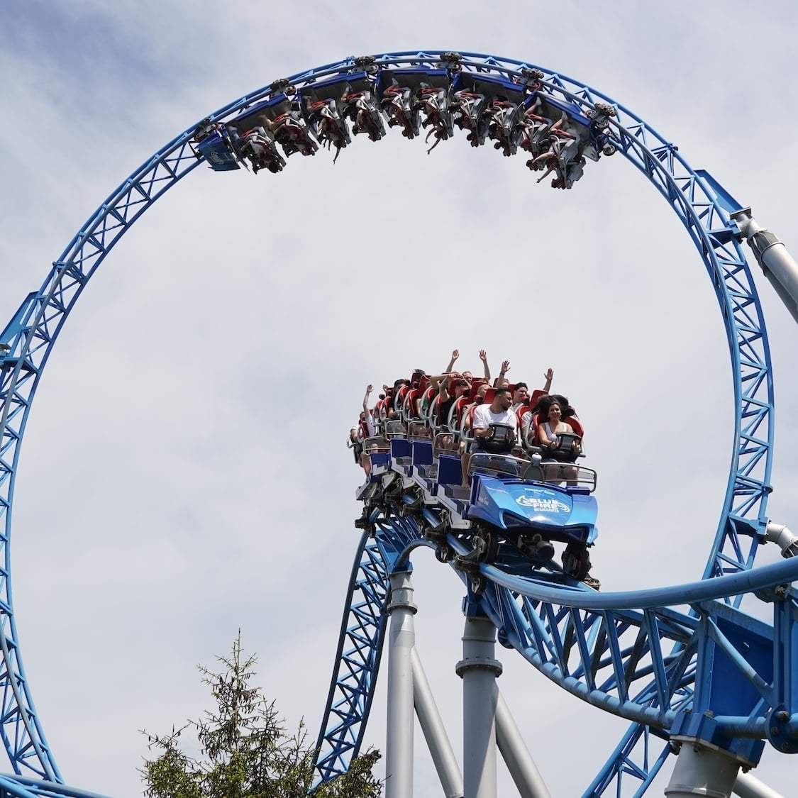 shutterstock-2447019319