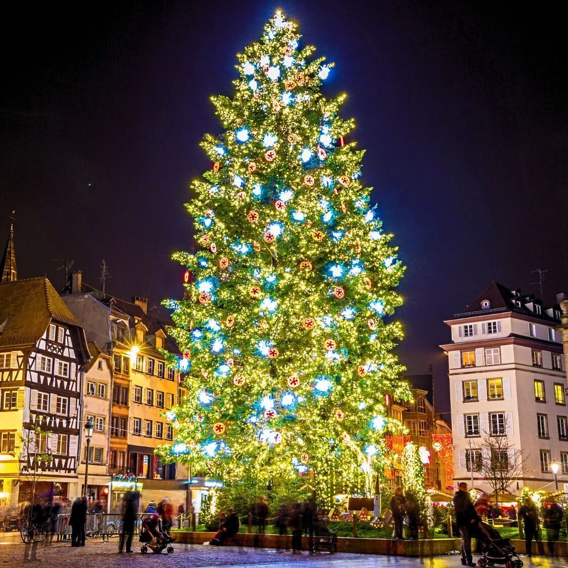 sapin-de-noel-plus-beau-du-monde-strasbourg
