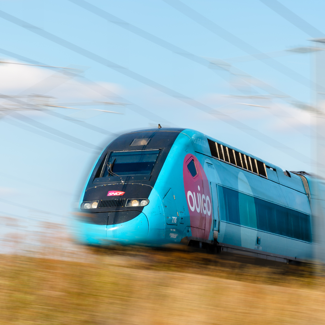 shutterstock-1293483556