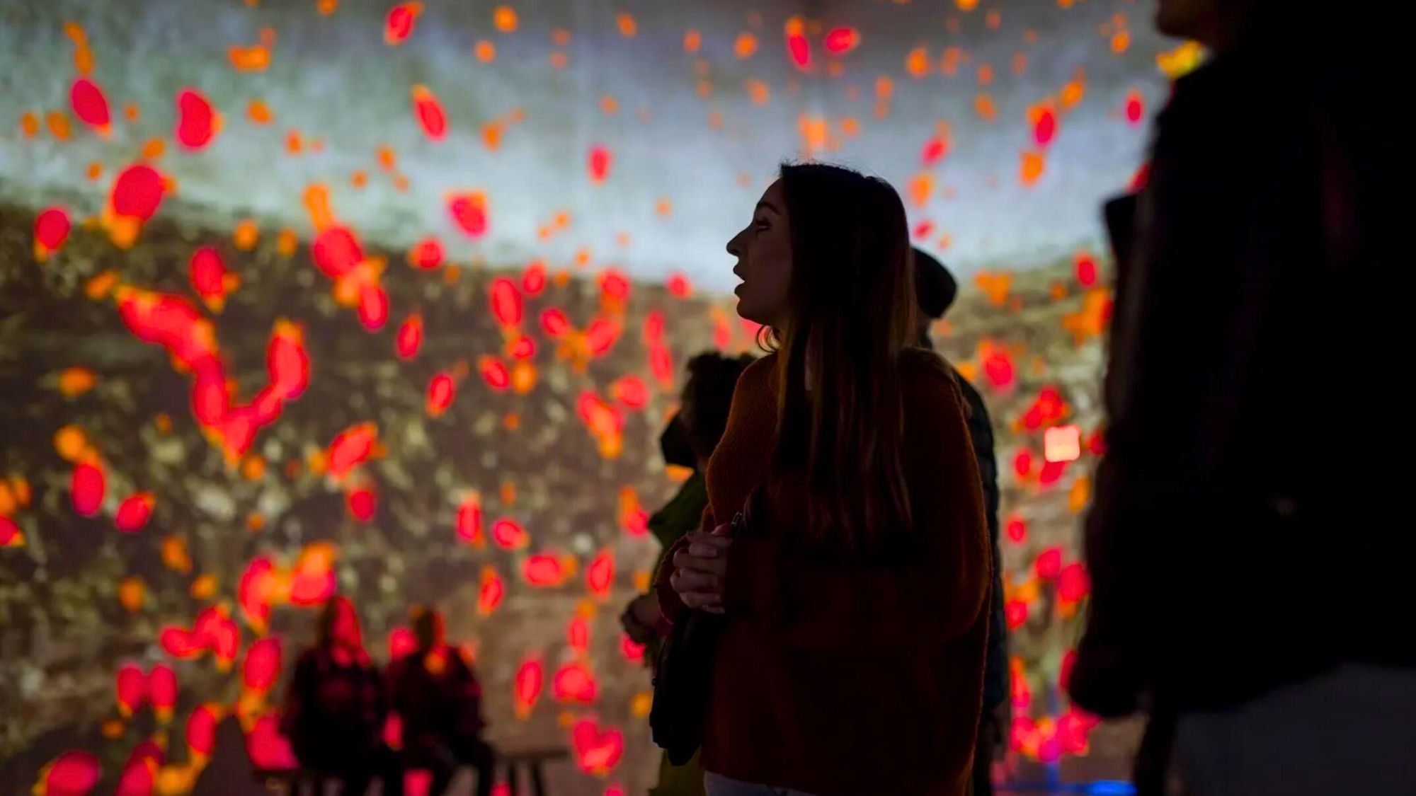 Plus que quelques jours pour profiter de la magnifique exposition de Monet à Toulouse exposition-monet-toulouse