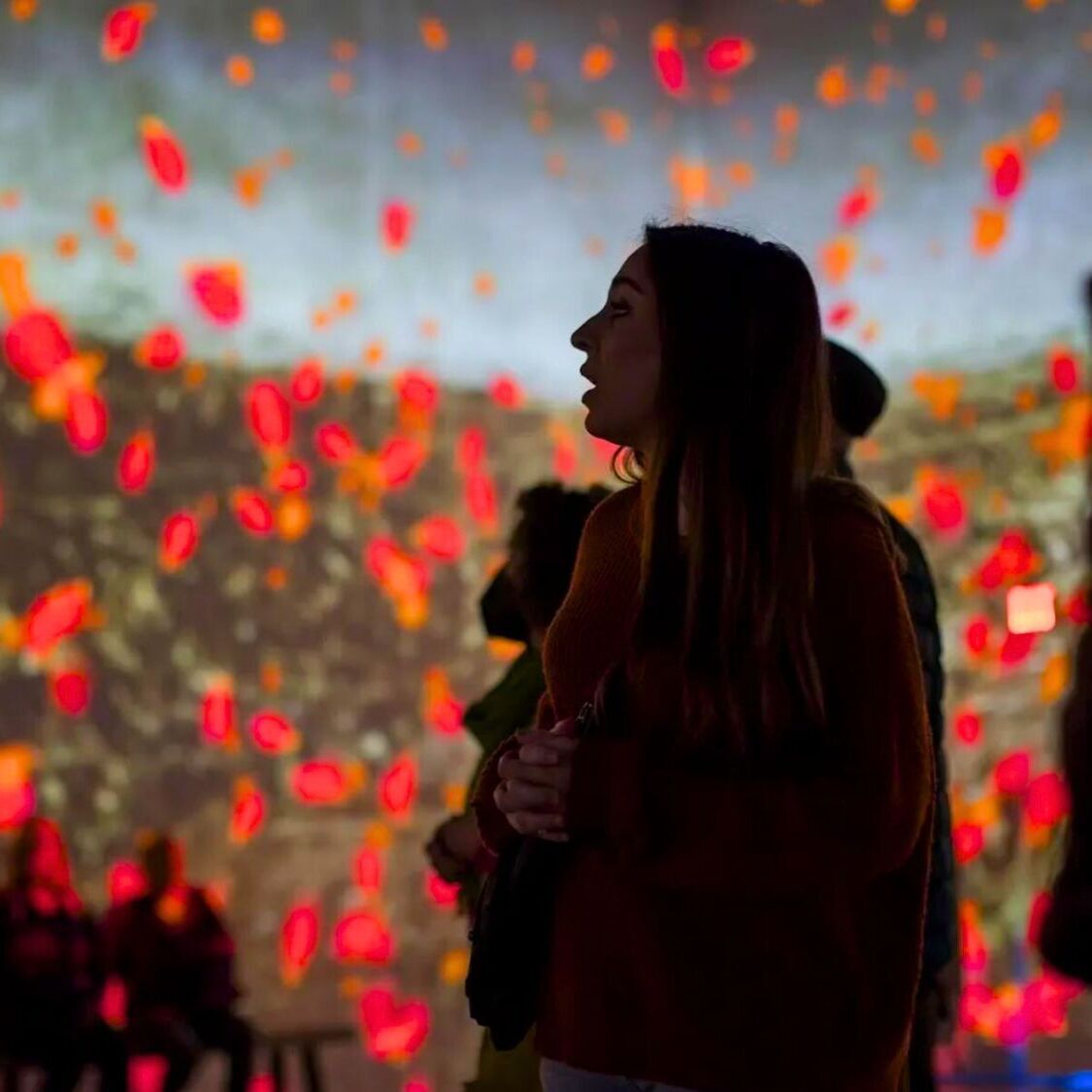 Plus que quelques jours pour profiter de la magnifique exposition de Monet à Toulouse exposition-monet-toulouse