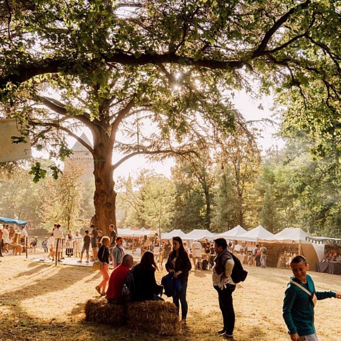 fete-medievale-parc-arbres
