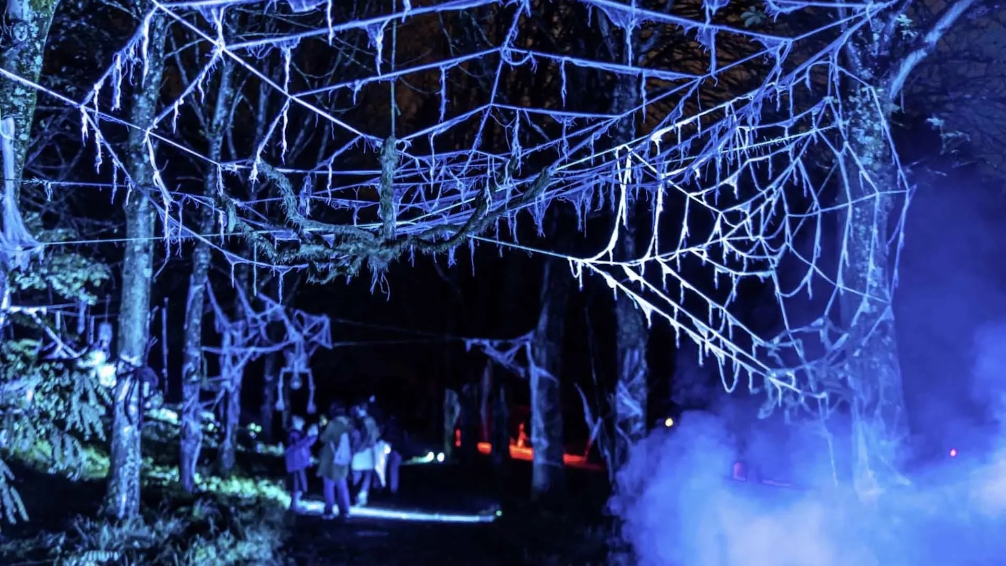 Zombie, sorcières, phénomènes paranormaux… Ce parc parisien se métamorphose en octobre ! 67d2b0044228a-images-large