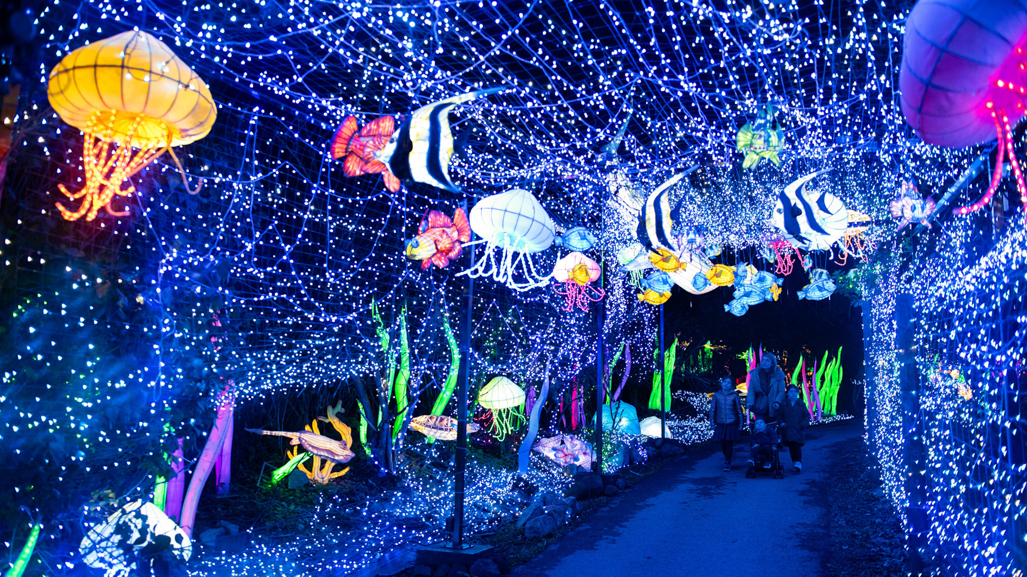 lumieres-sauvages-safari-peaugres-lyon