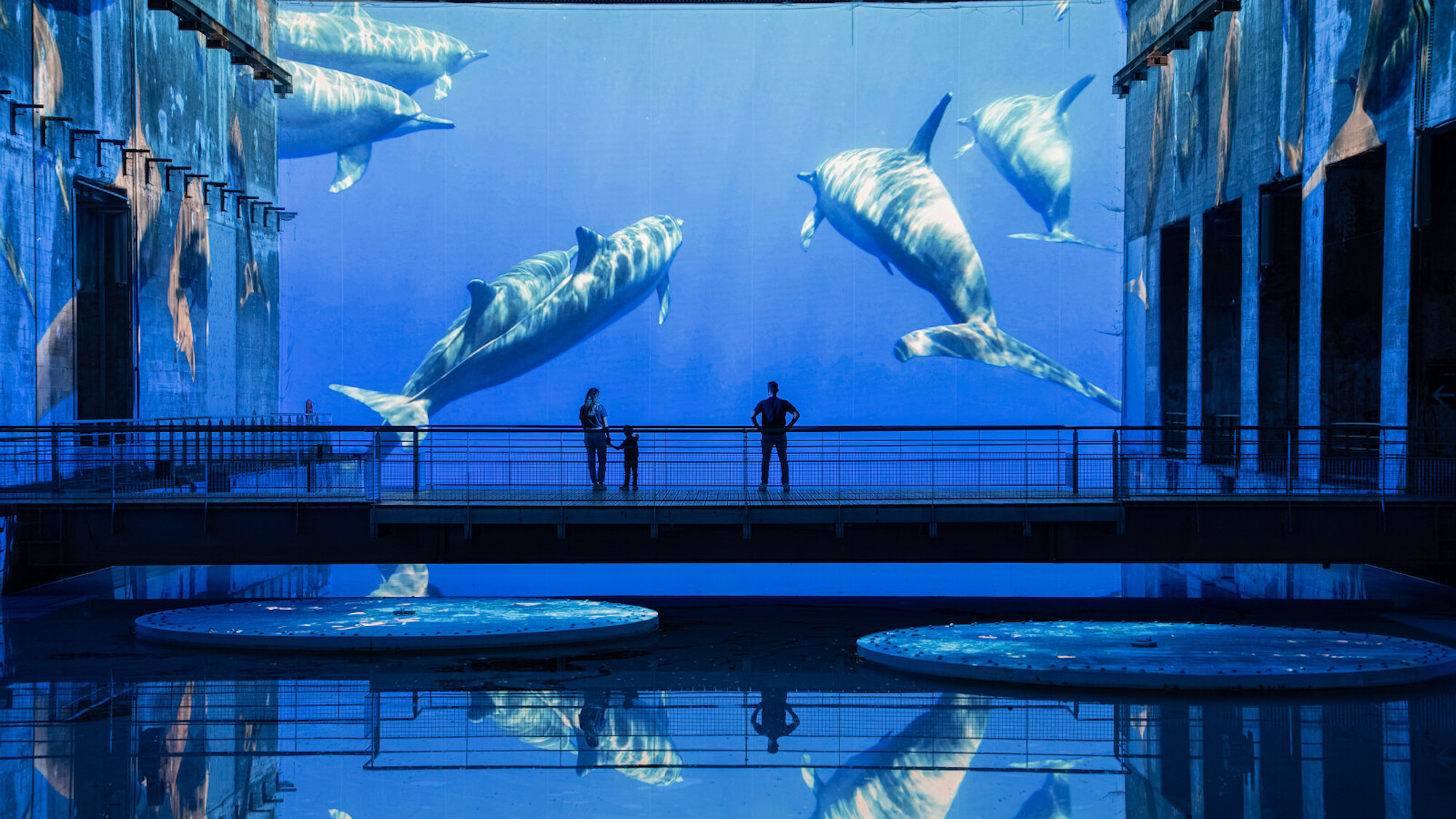 ocean-immersion-dans-le-monde-sous-marin-80616-160