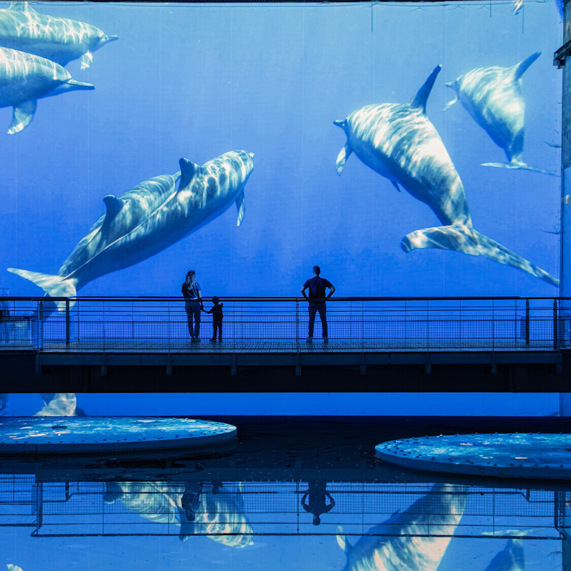 ocean-immersion-dans-le-monde-sous-marin-80616-160