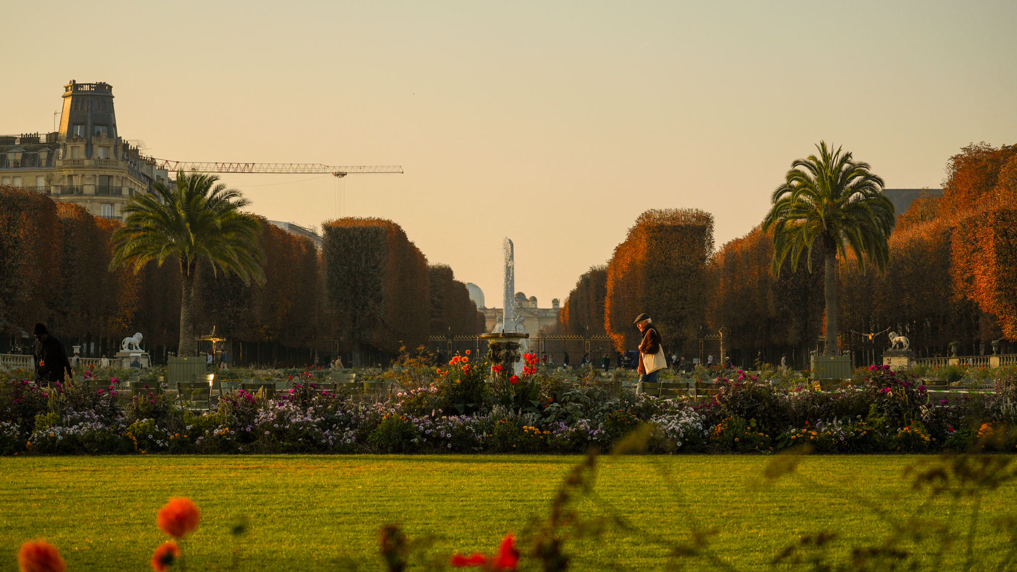 jardin-luxembourg-paris-creditjagodabartus-lebonbo
