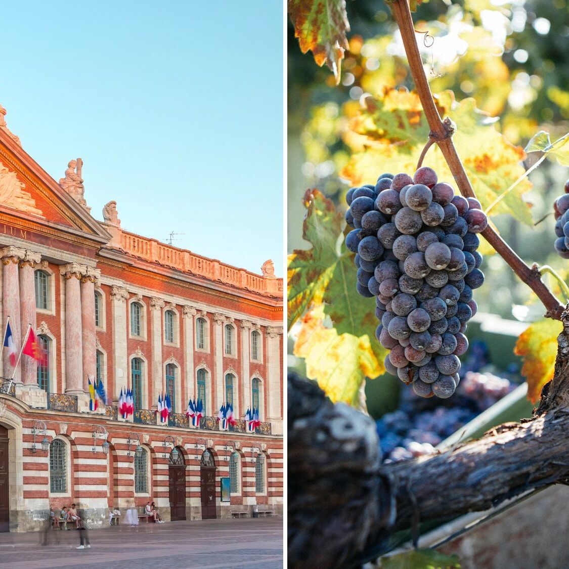 fete-des-vendanges-toulouse