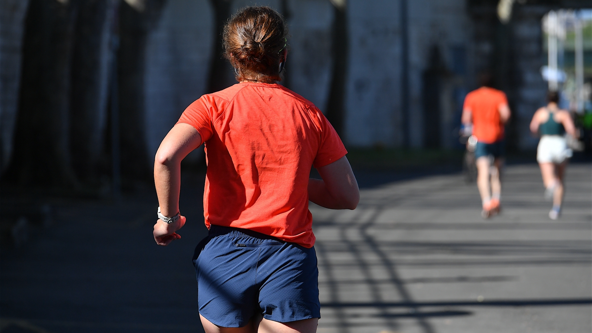 shutterstock-2626034597