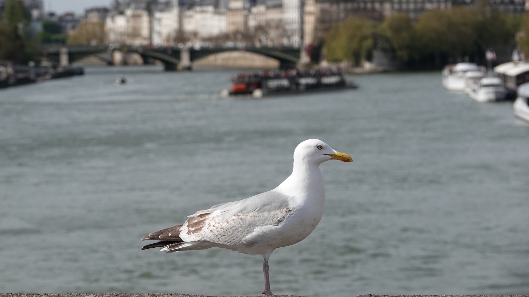 shutterstock-2321737283