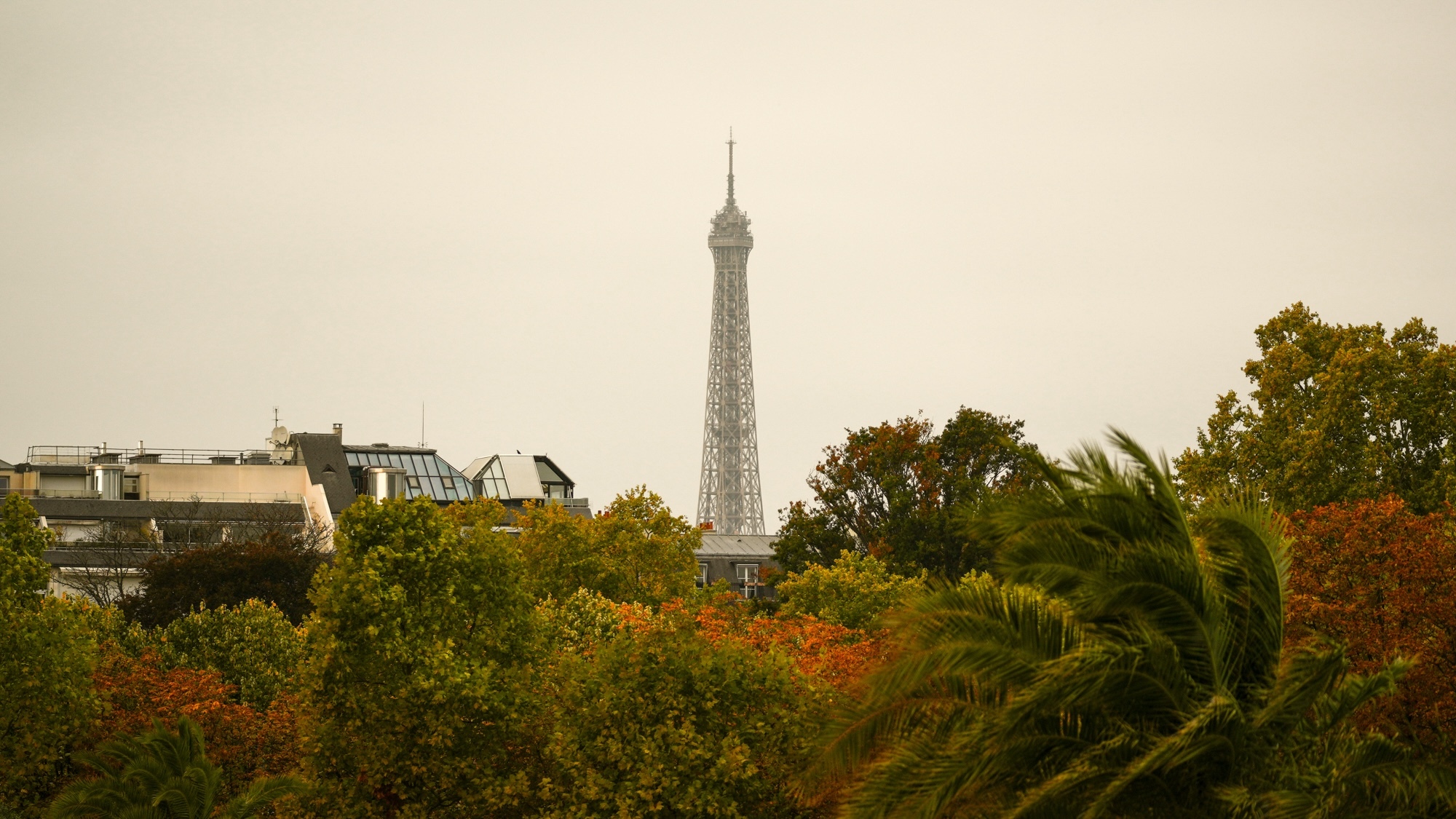 Que faire à Paris cette semaine ? (20-26 octobre) paris-jagodabartus-lebonbon