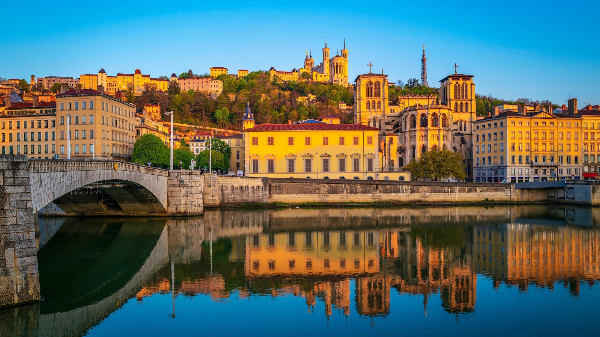 shutterstock-2296219387