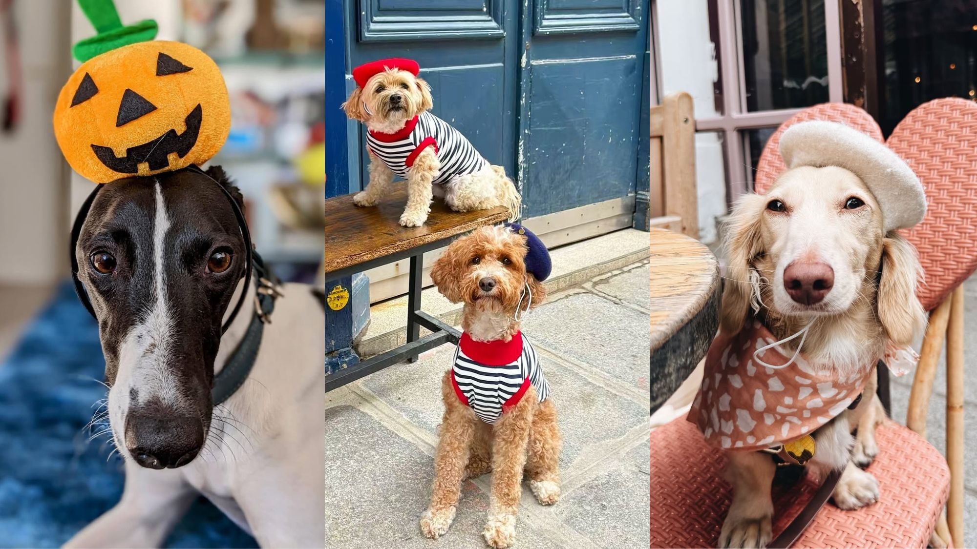 le-bonne-appart-paris