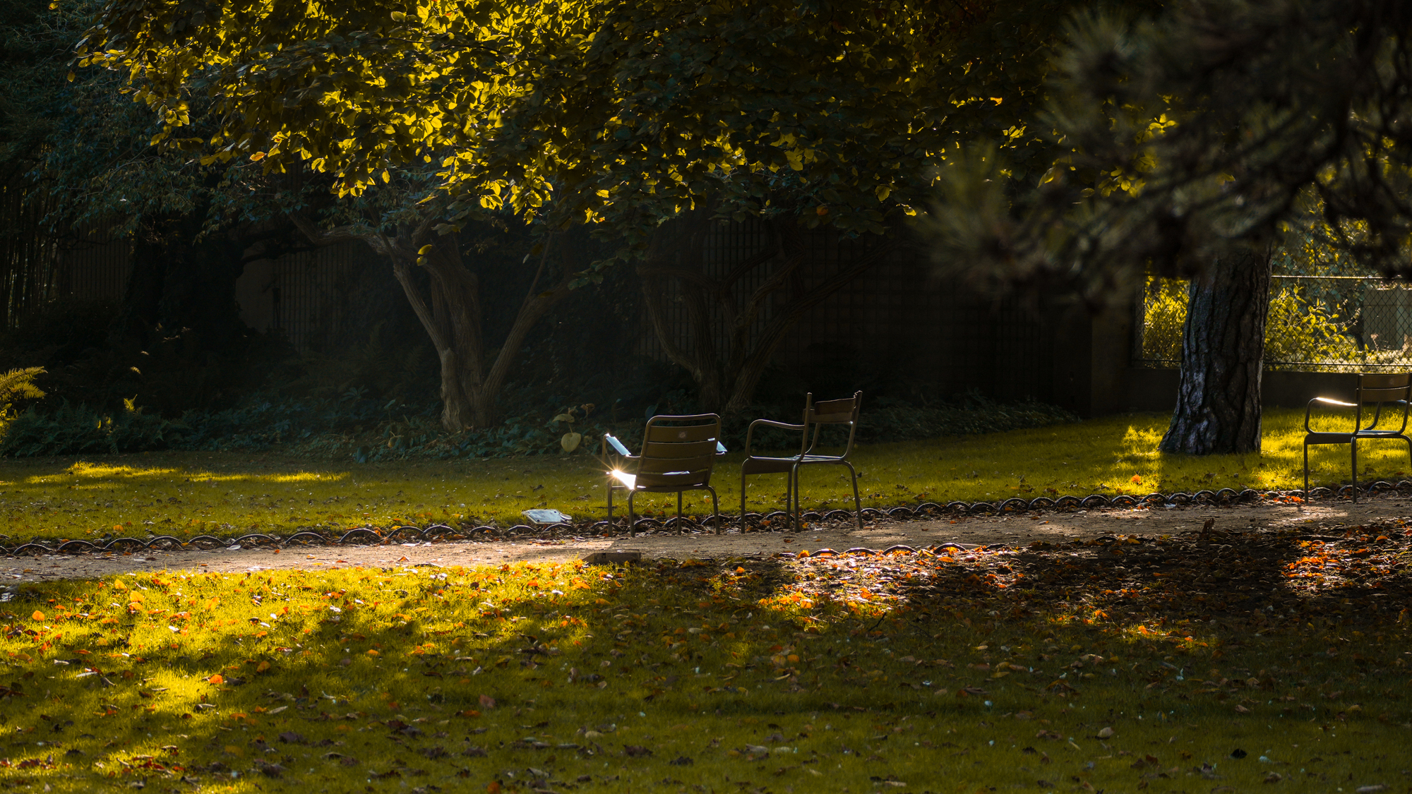 jagodabartus-lebonbon