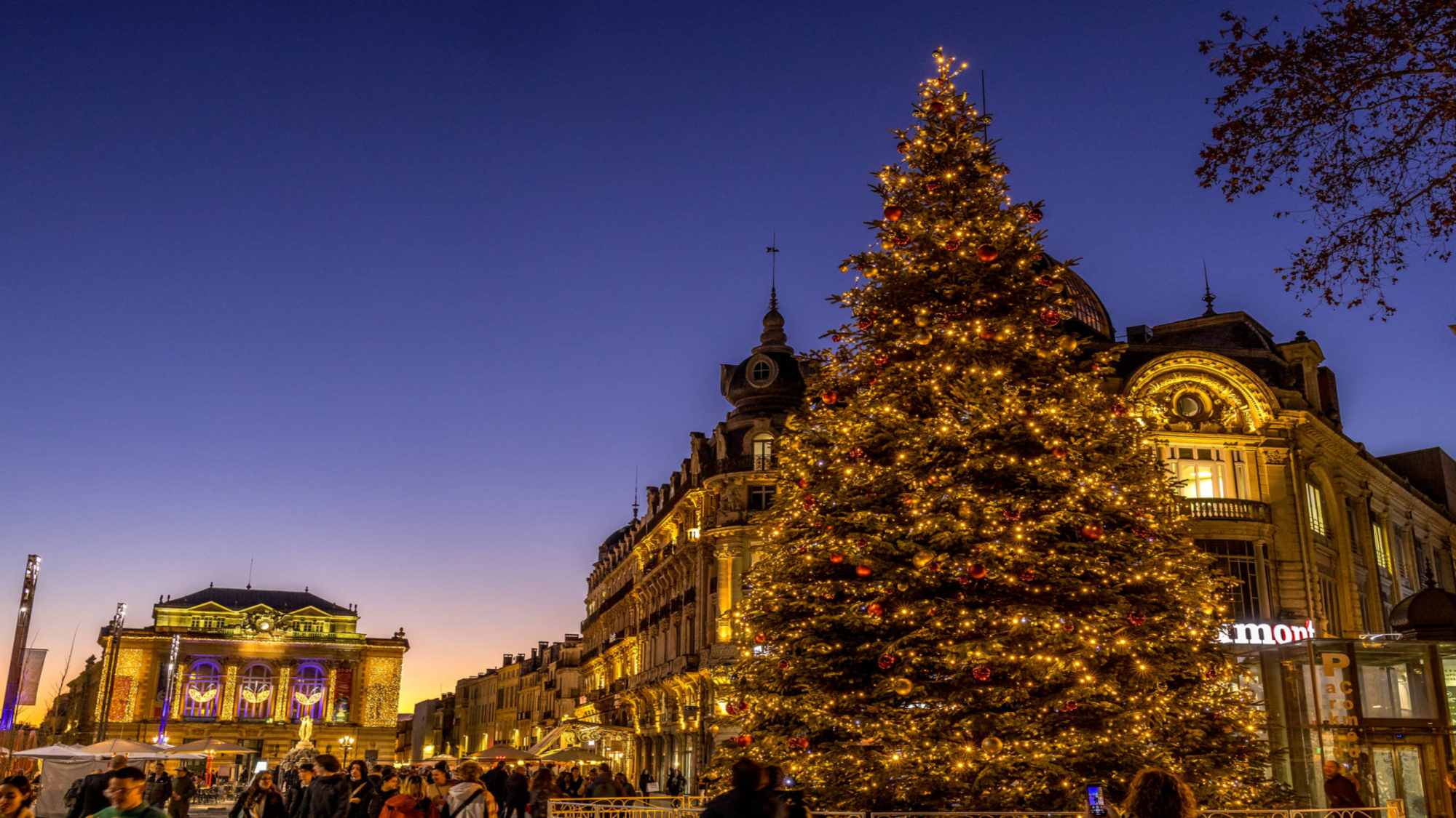 sapin-de-noel-comedie-montpellier