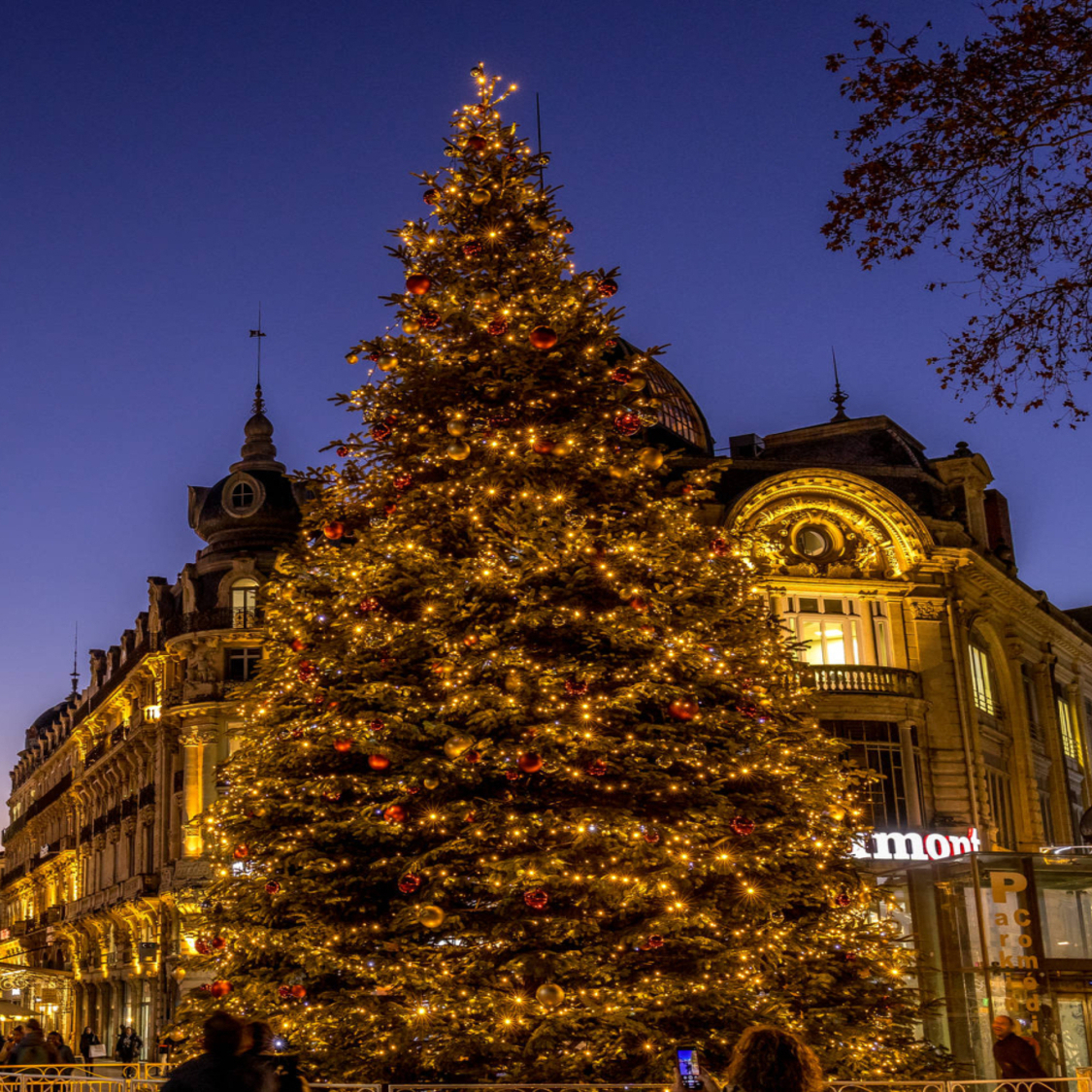 sapin-de-noel-comedie-montpellier