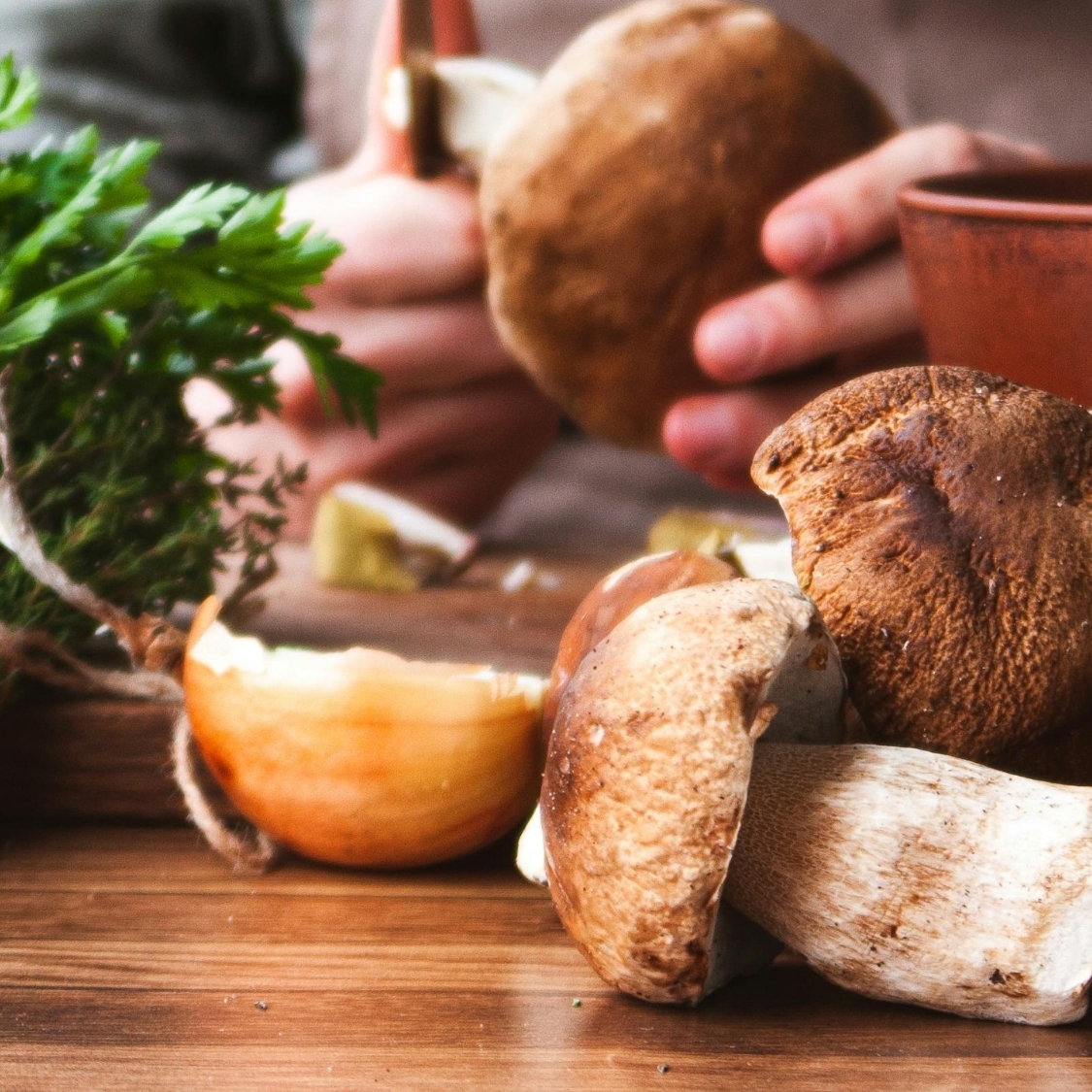 L’irrésistible recette de la tourte forestière dijonnaise recette-tourte-champignon-dijon-1-