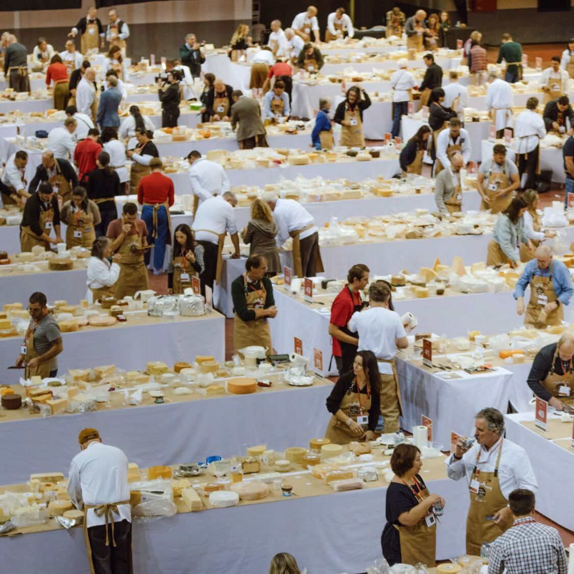 cheese-world-bernes-geneve