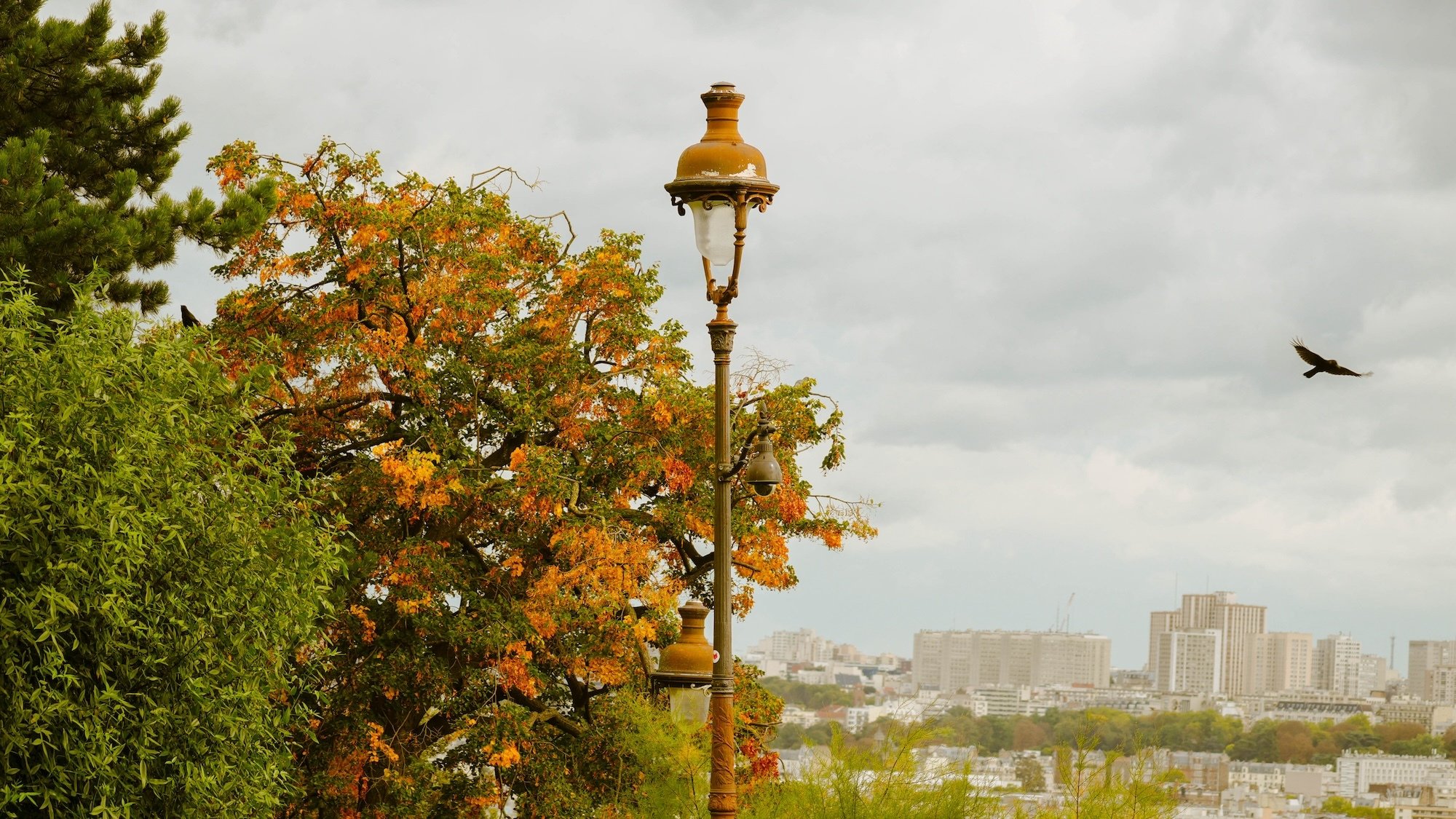 paris-credit-jagodabartus-lebonbon