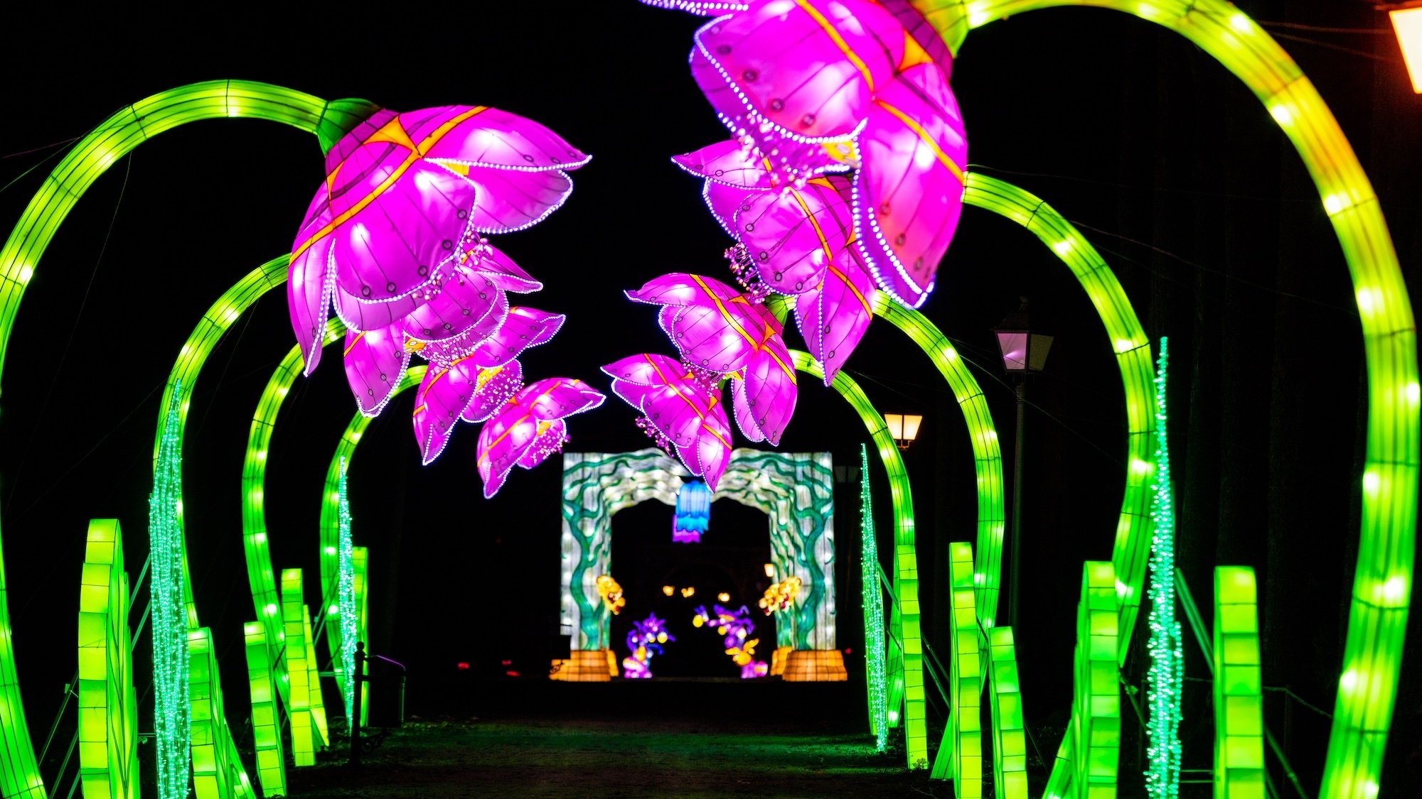 fete-lumieres-chateau-castel-novel