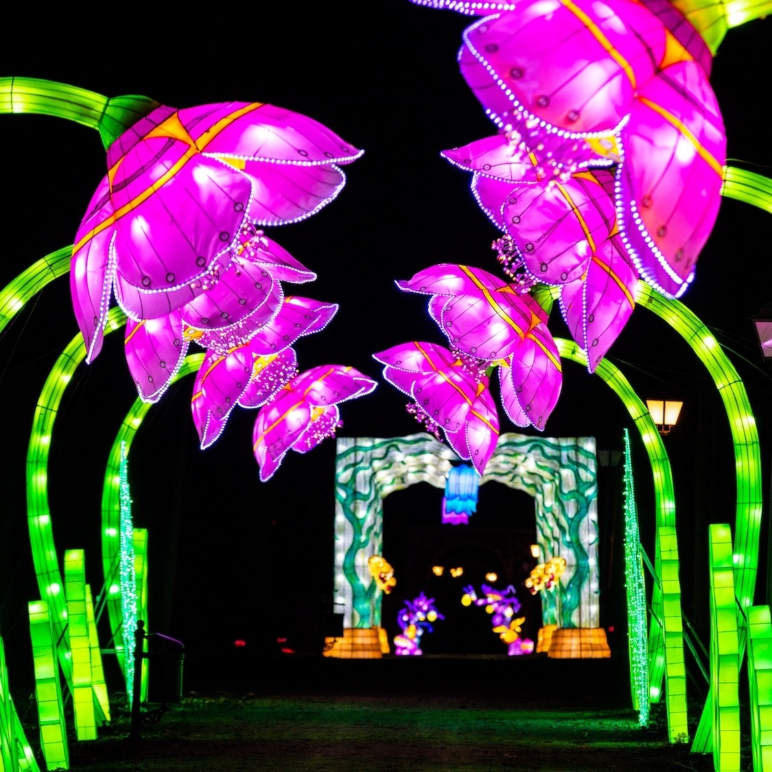 fete-lumieres-chateau-castel-novel