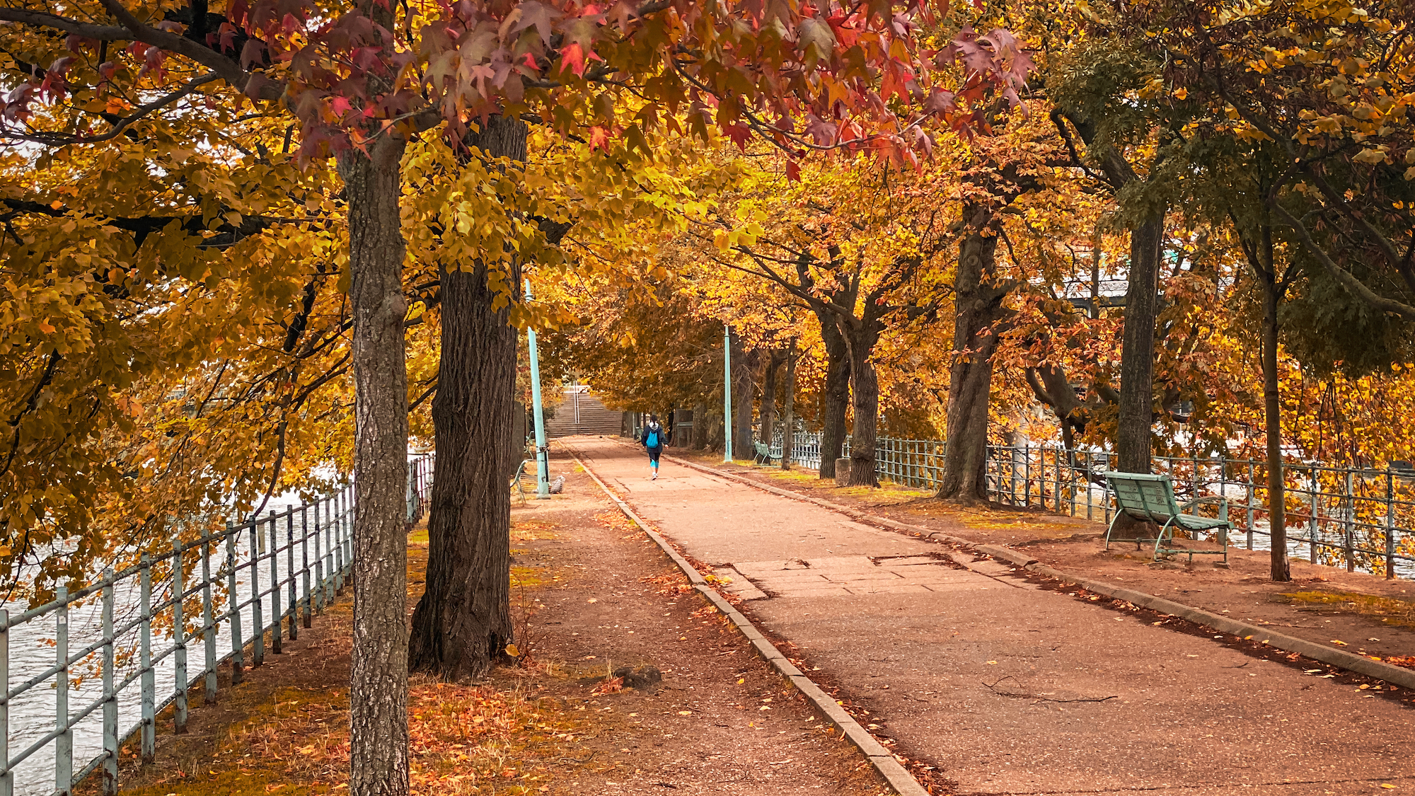 shutterstock-1539301598