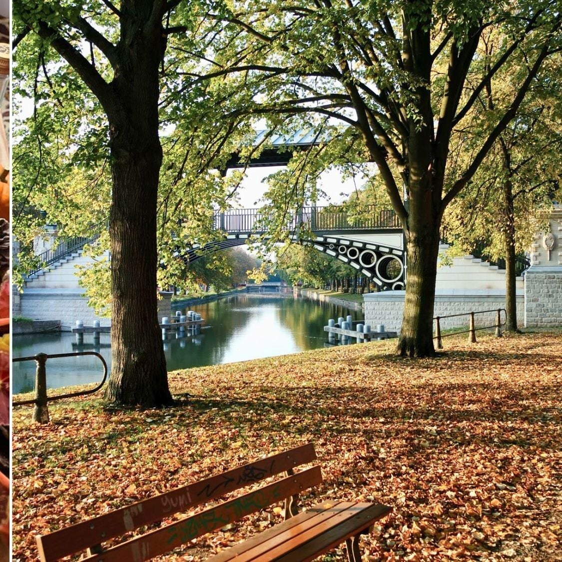 Top des spots réconfortants pour profiter de l'automne à Lille top-spots-automne-lille