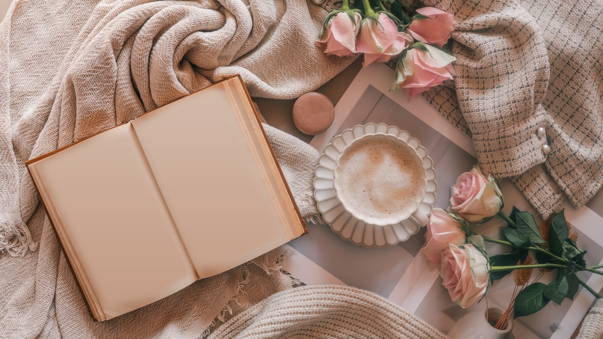 Le premier café-lettres culturel de Lyon va ouvrir ses portes au coeur de la ville cafe-mio-lyon-lettres-culturel