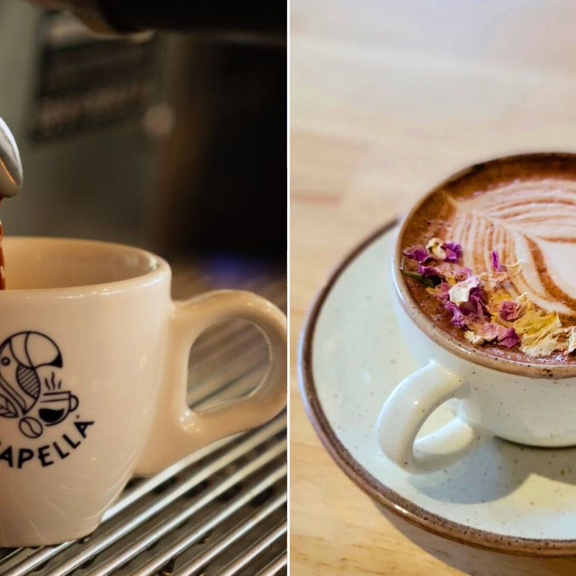 acapella-meilleur-coffee-shop-de-france-toulouse