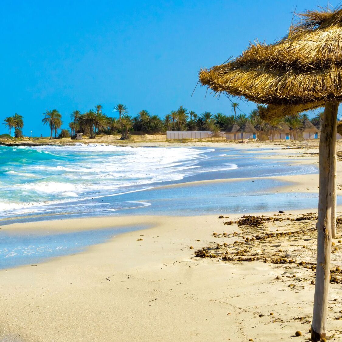 montpellier-djerba-transavia-nouvelle-destination
