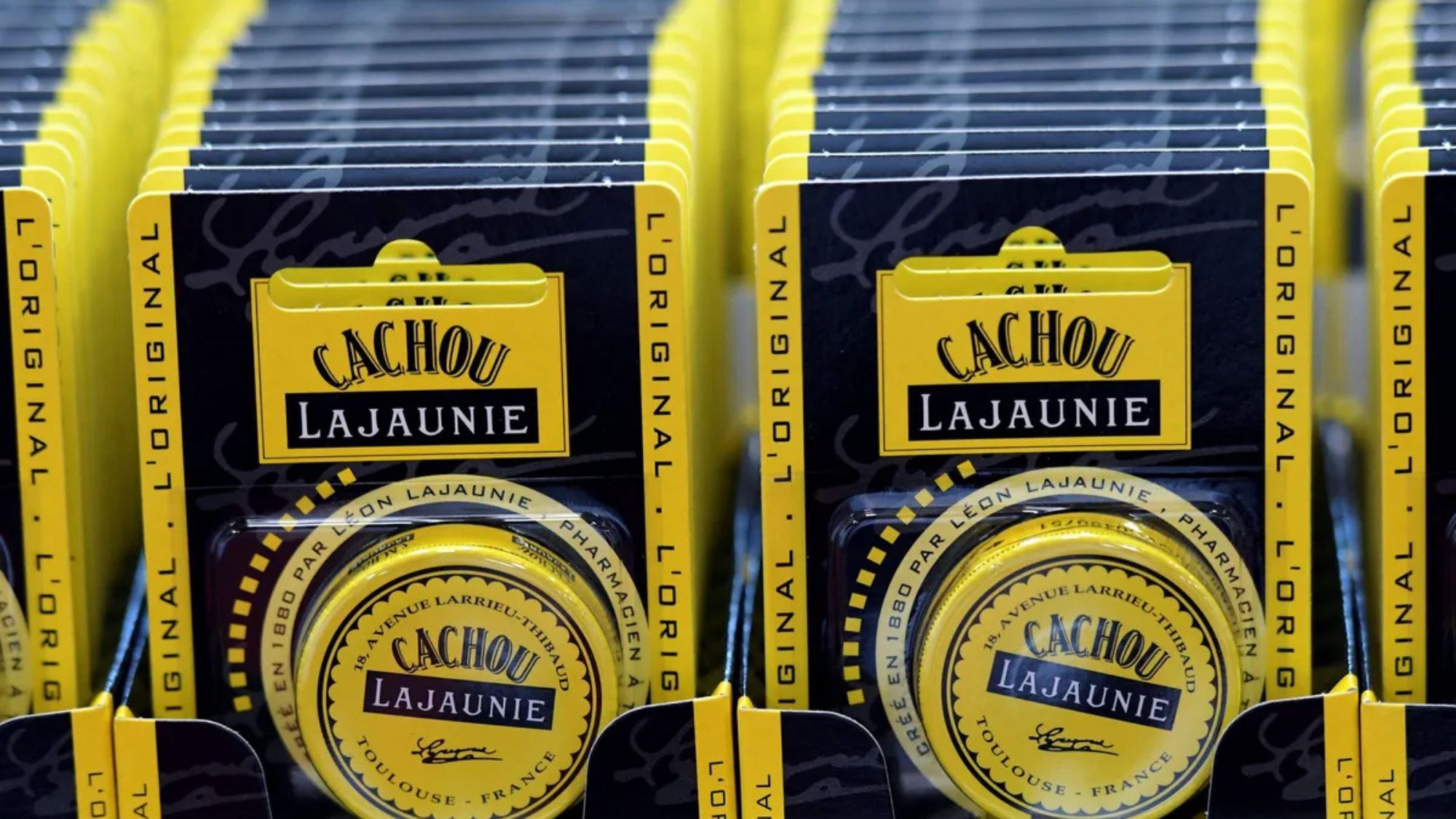 cachou-lajaunie-p-tition-toulouse