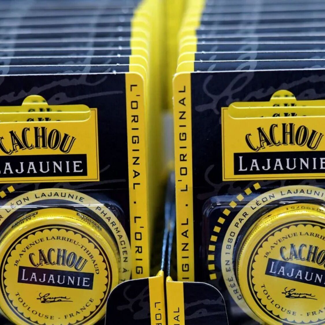 cachou-lajaunie-p-tition-toulouse