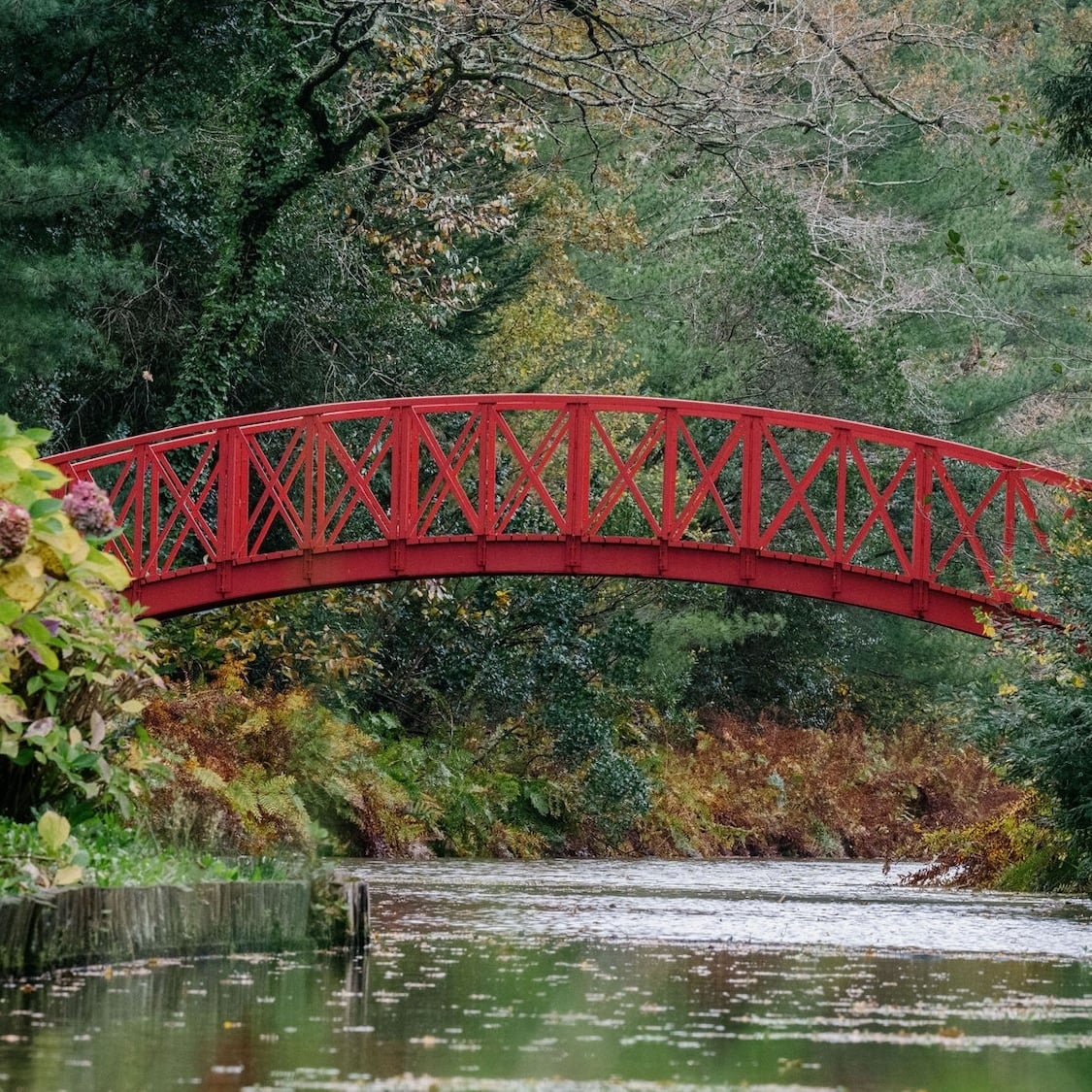 Le parc féérique de ce château médocain a été dessiné par le créateur du Jardin Public de Bordeaux chateau-cantemerle-parc