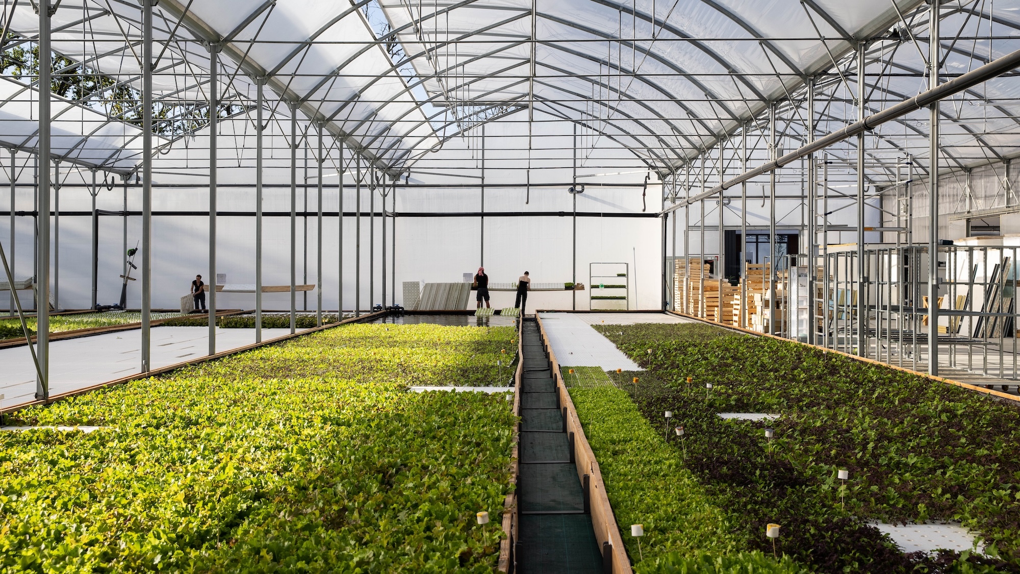 La plus grande ferme aquaponique de France se situe dans la métropole bordelaise les-nouvelles-fermes-a-merignac
