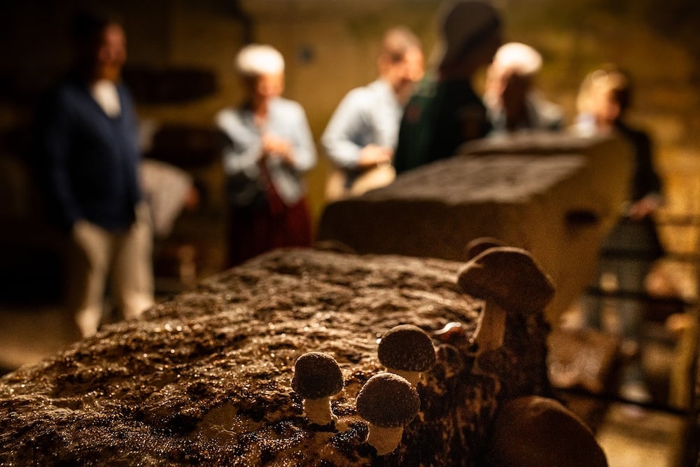 portes-ouvertes-saint-emilion
