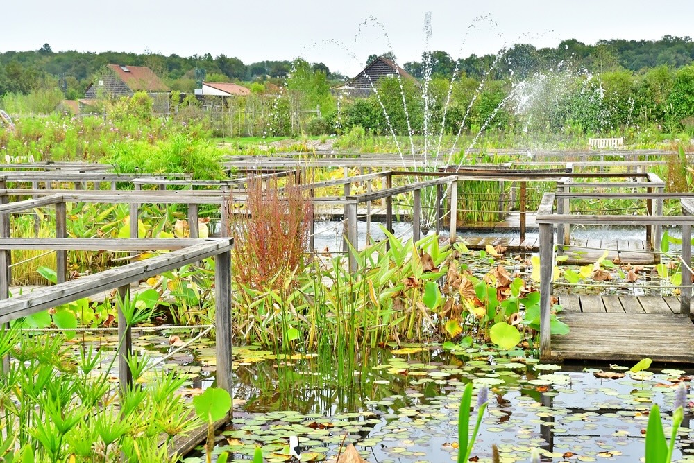 labyrinthe-carsac-jardins