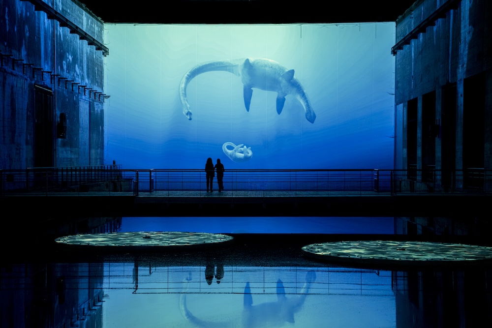 bassins-lumieres-dinosaures