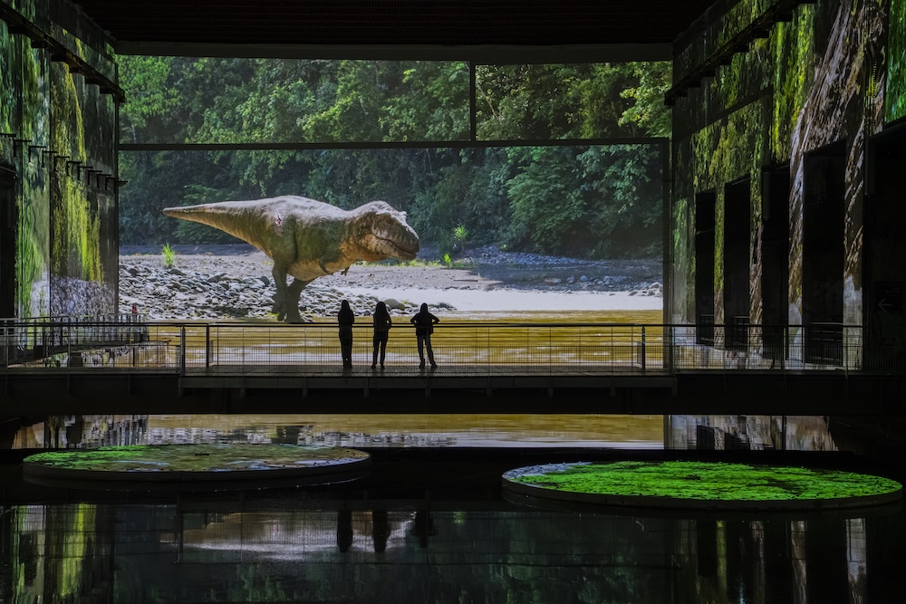 bassins-lumiere-expo-prehistoire