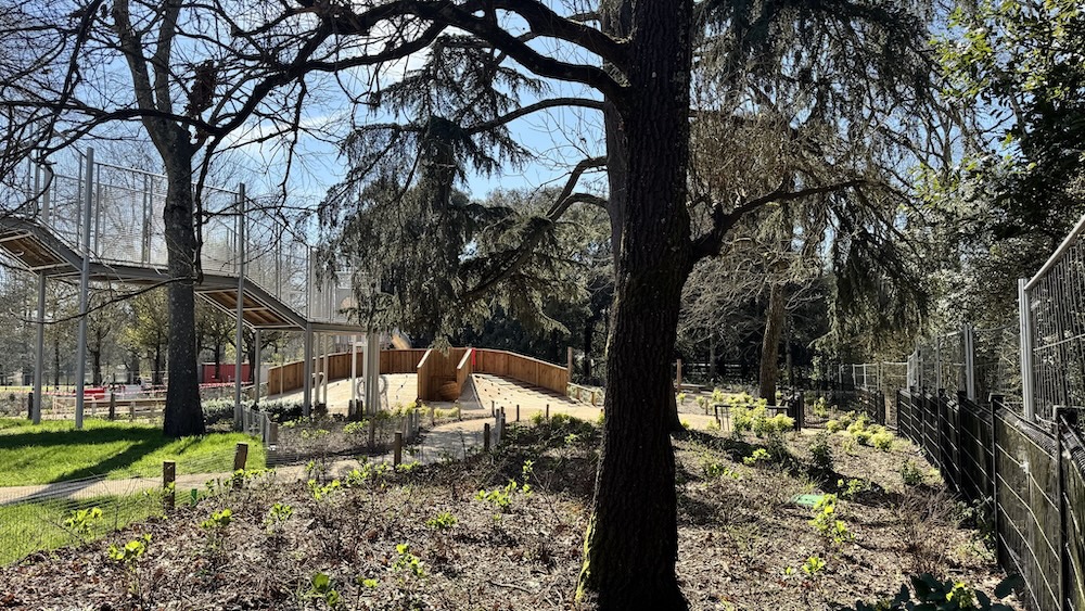 enfants-parc-bordelais
