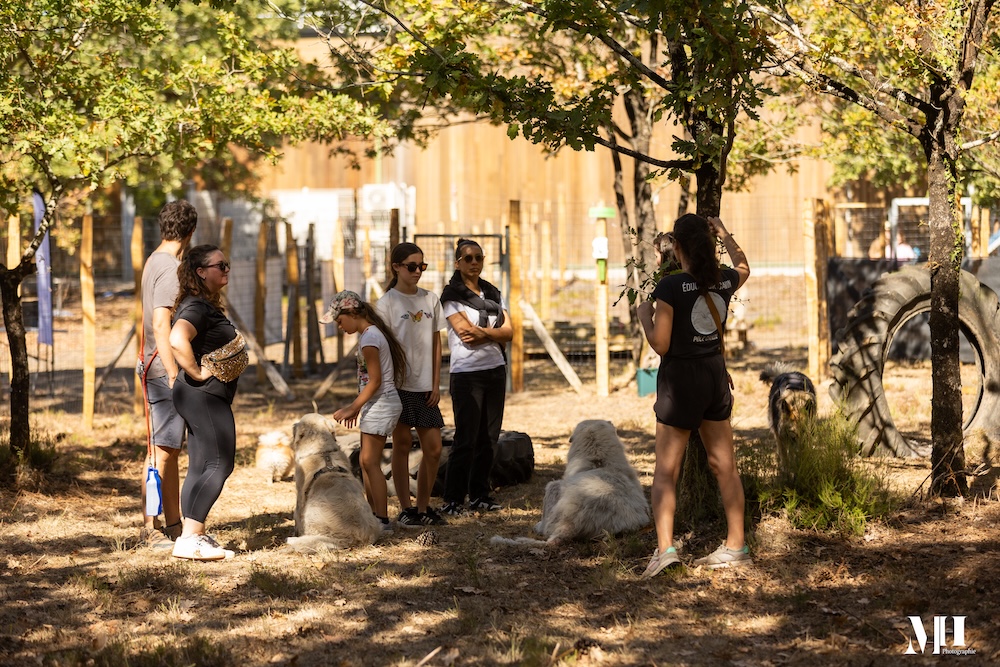 cestas-campus-canin