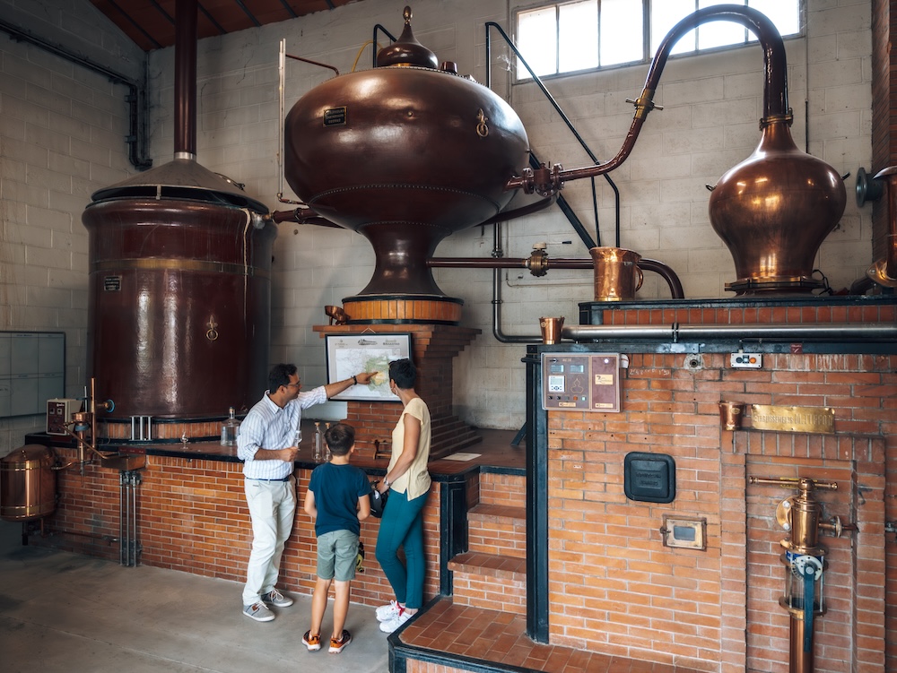 distillerie-cognac