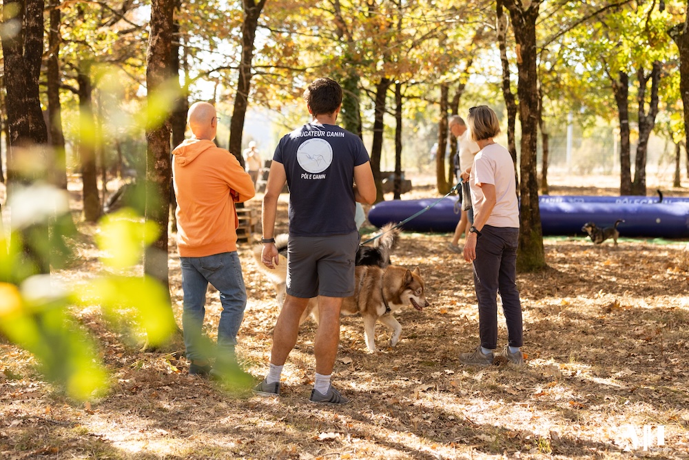 parc-loisirs-chiens-bordeaux