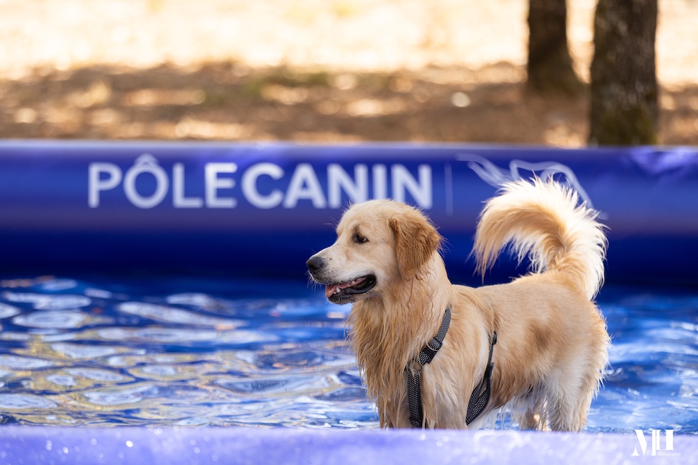 pole-canin-cestas