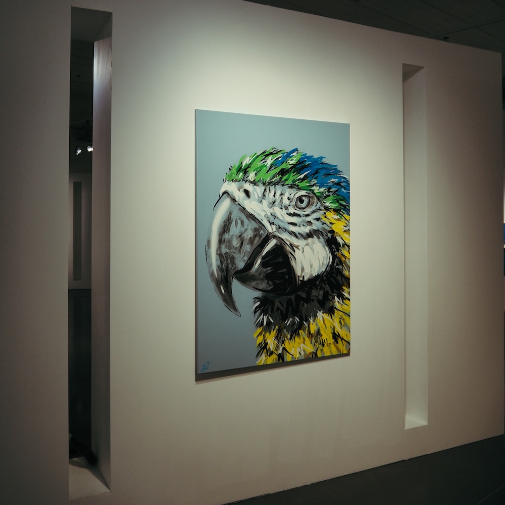amo-musee-mer-marine