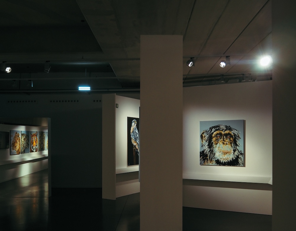 street-art-expo-bordeaux