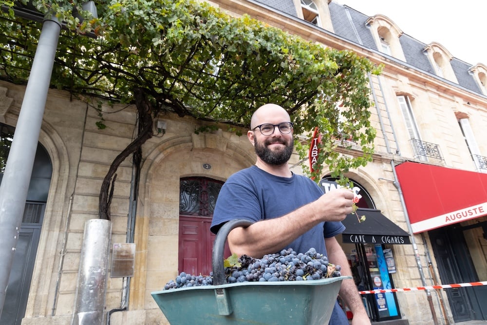 vigne-bordeaux-centre